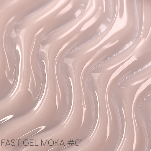  Envy You Fast Gel Moka 01 (50g)